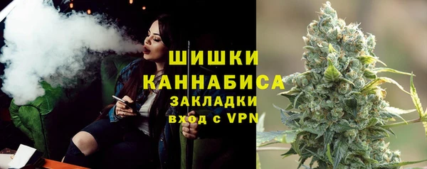 кокс Касимов