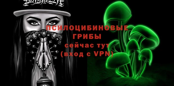 spice Карпинск