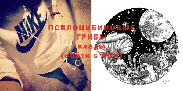 кокс Касимов