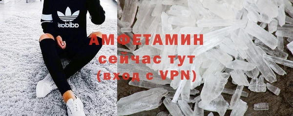 кокс Касимов
