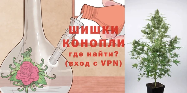 кокс Касимов