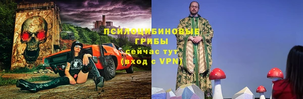 spice Карпинск