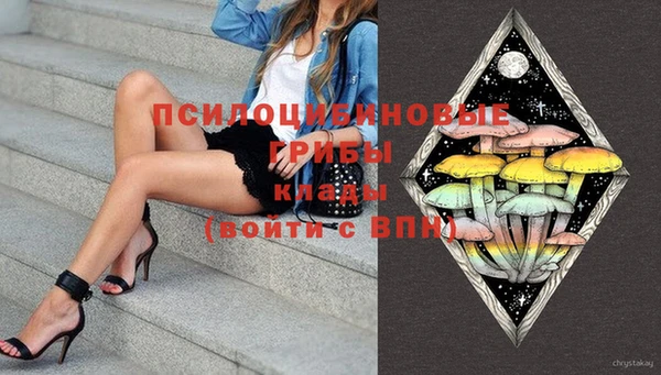 spice Карпинск