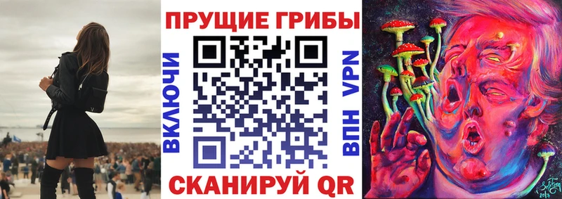 Купить  Асино  Псилоцибиновые грибы Magic Shrooms 